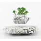 Levitating Marble Floating Plant Pot